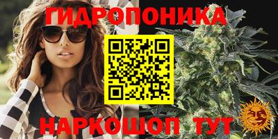 бошки Тара
