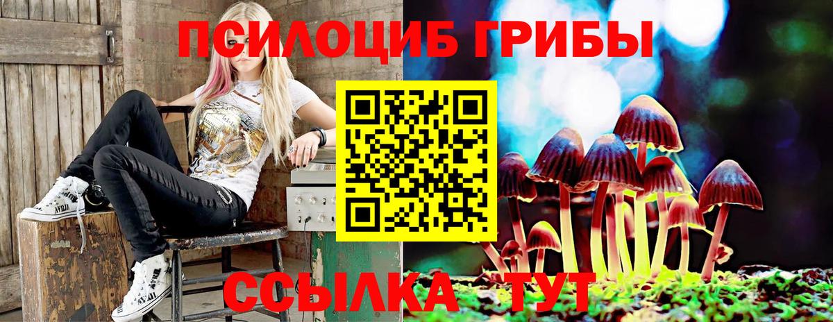 Новосибирск  Галлюциногенные грибы GOLDEN TEACHER  Вход с VPN 