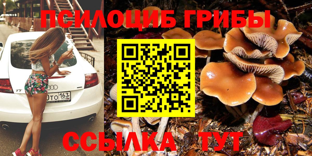 Псилоцибиновые грибы прущие грибы Новосибирск