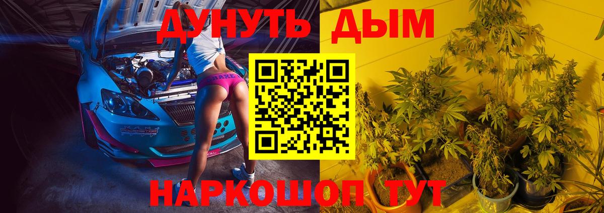 Новосибирск  Канабис OG Kush  Вход с VPN  Каннабис сатива  Конопля сатива 